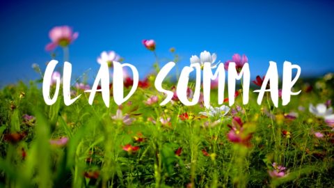 Glad sommar