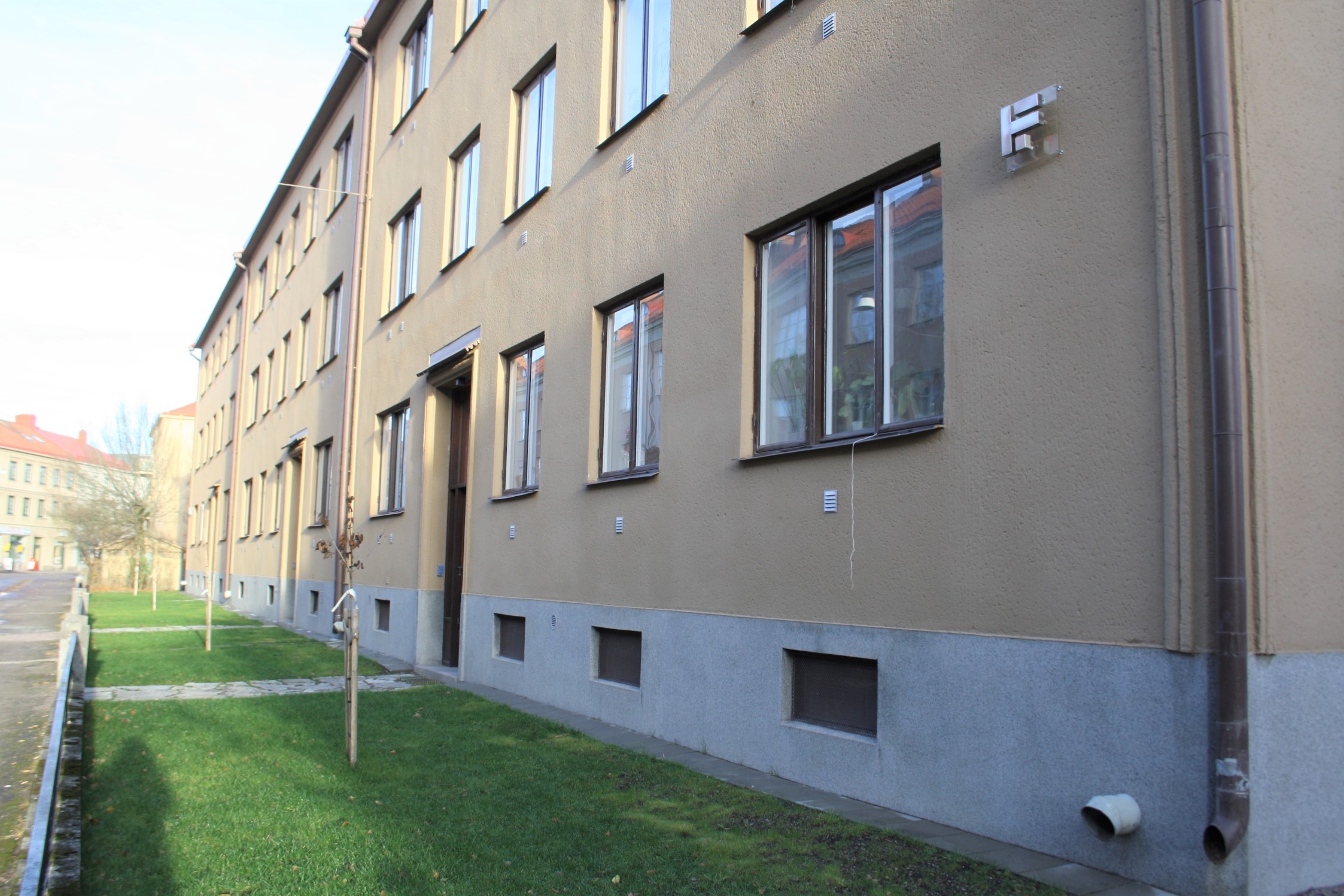 Rådis